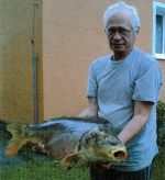 Z.Povolný kapr 82 cm 10.40kg