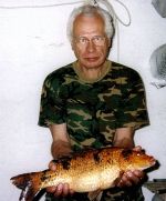 Z.Povolný kapr koi  56 cm  2.5 kg